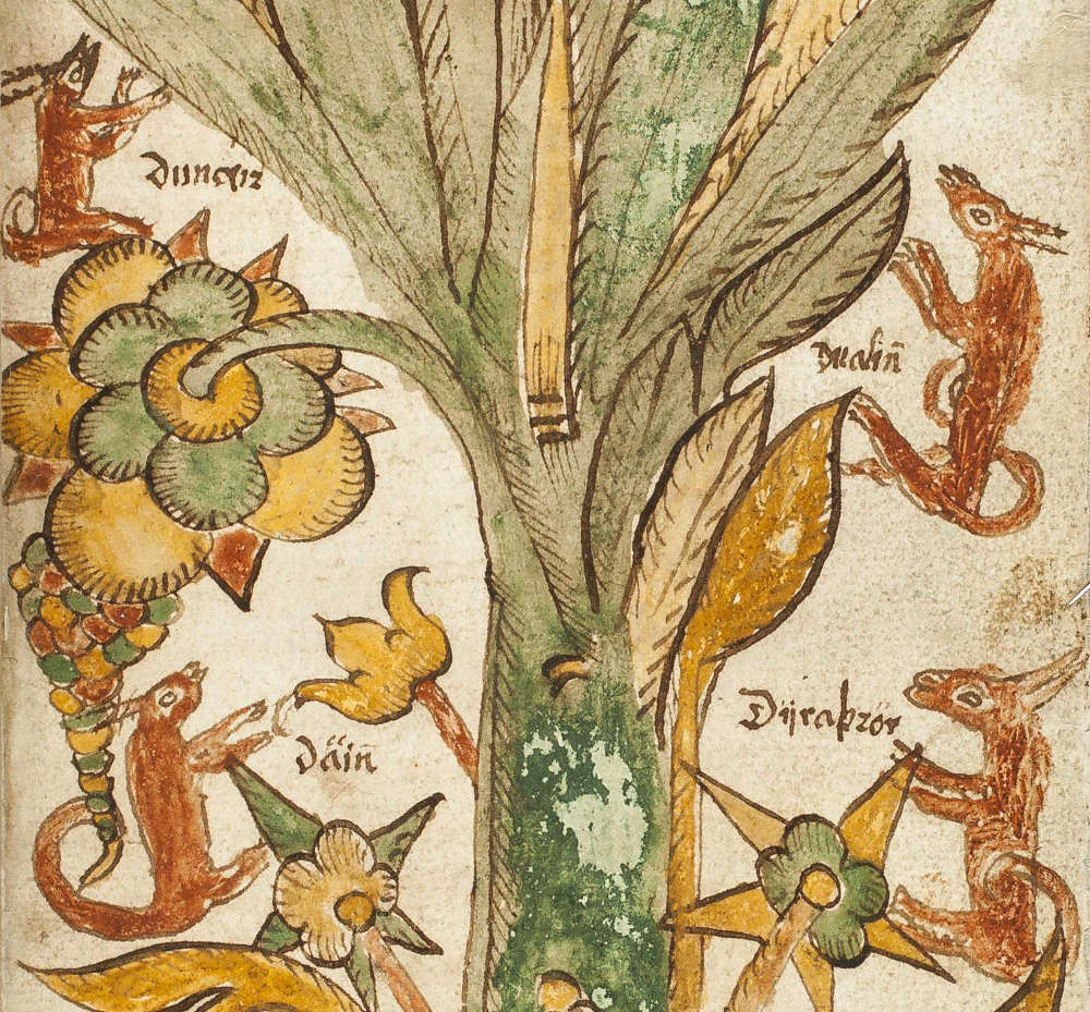 Dáinn, Dvalinn, Duneyrr et Duraþrór, les cerfs d'Yggdrasill, dans le manuscrit AM 738 4to