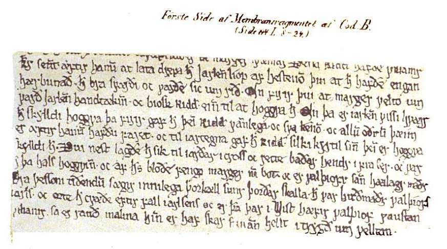 La Fagrskinna dans le manuscrit NRA 51
