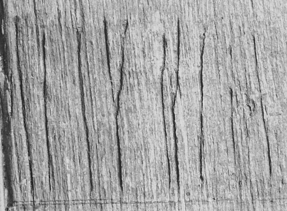 Inscription runique N 138, bateau d'Oseberg